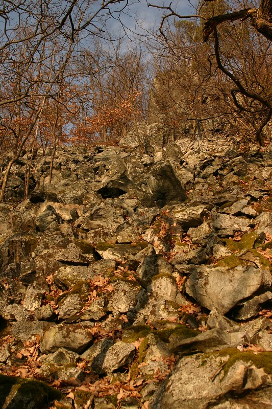 Vyhlídka Máj nad Vltavou - 10.2.2008